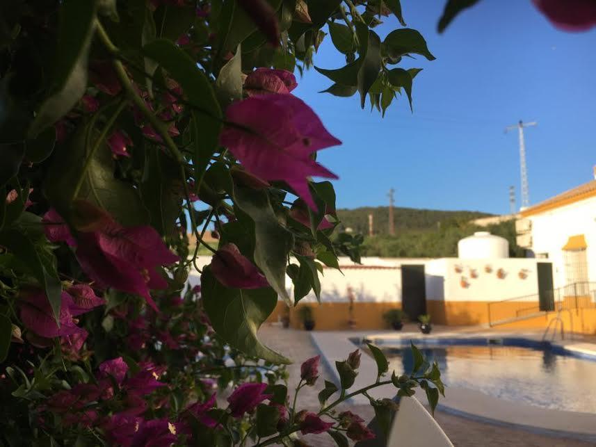 Hotel Andalou Монтельяно Экстерьер фото