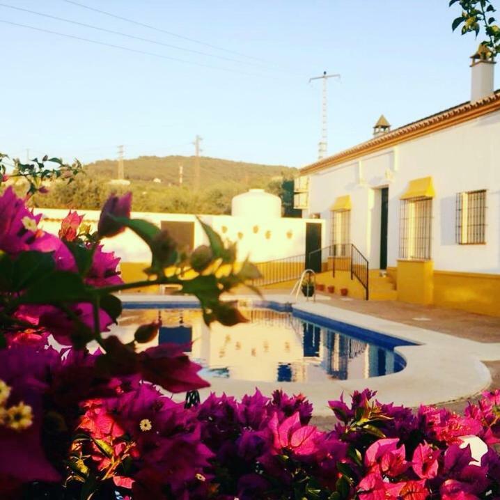 Hotel Andalou Монтельяно Экстерьер фото